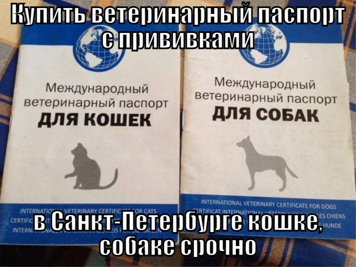 Купить ветеринарный паспорт с прививками в Санкт-Петербурге кошке, собаке Оформить международный Ветеринарный паспорт в СПБ с доставкой